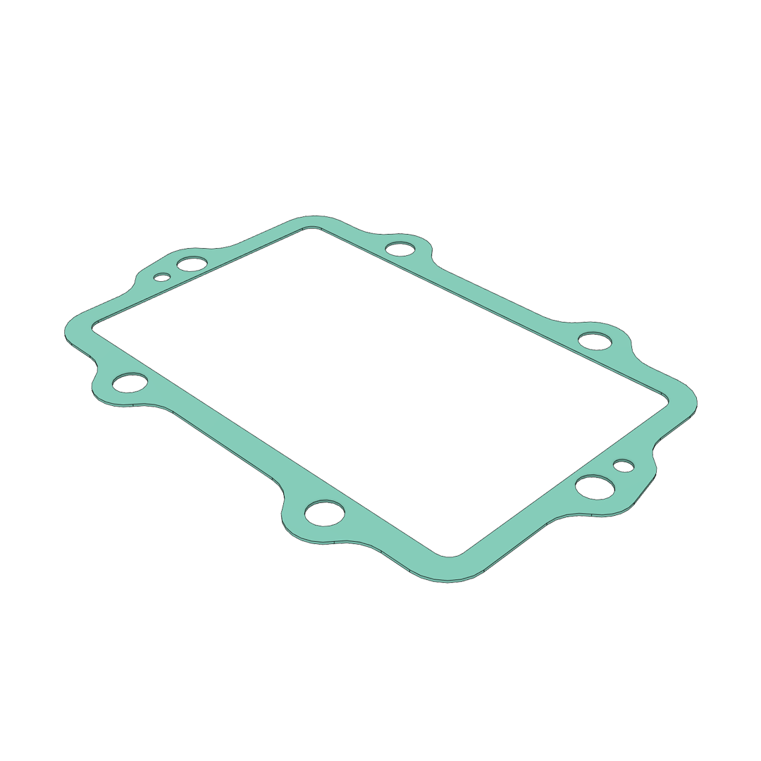 Cylinder Intake Gasket